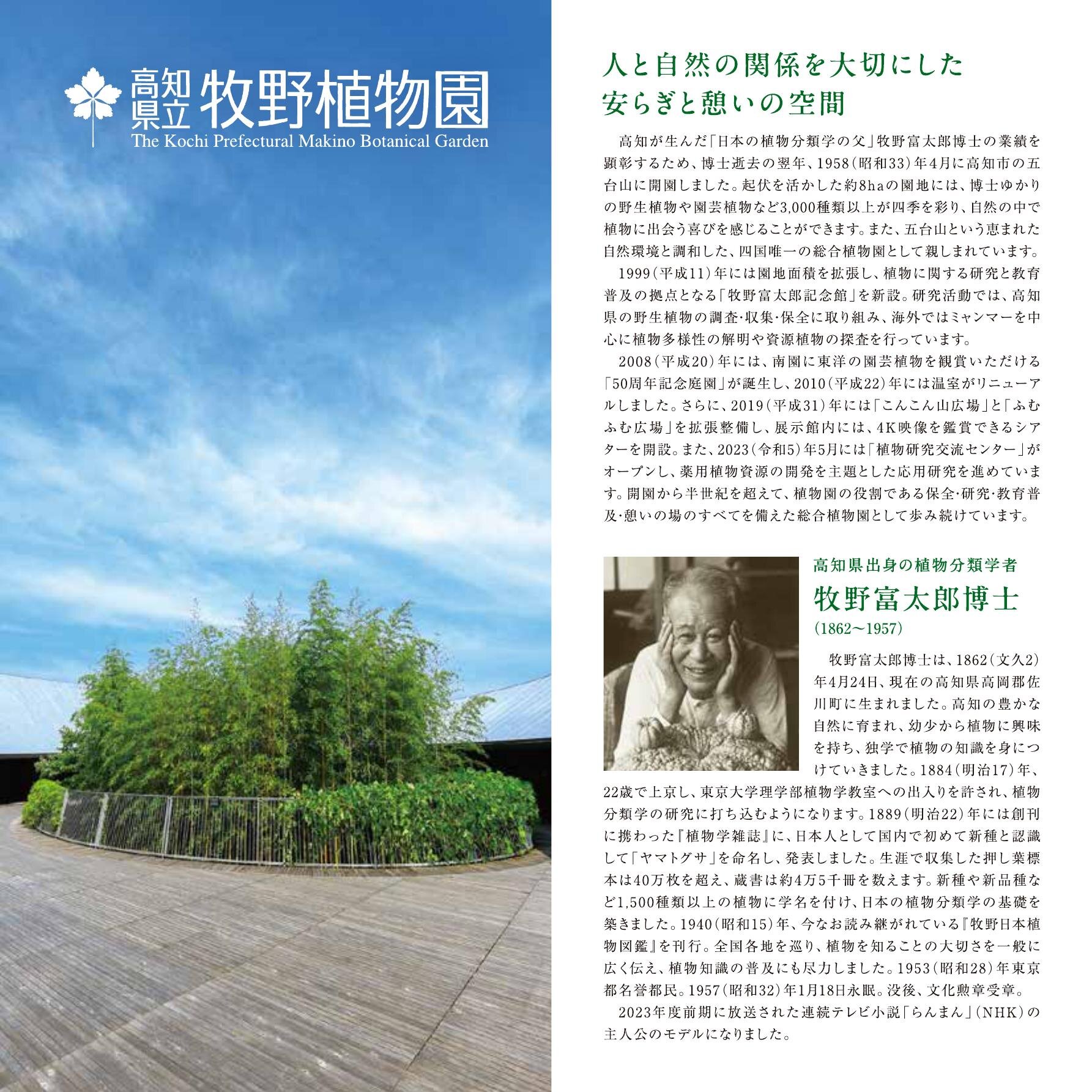 お野菜戦争| 高知イーブックス kochi ebooks 高知県の電子書籍サイト