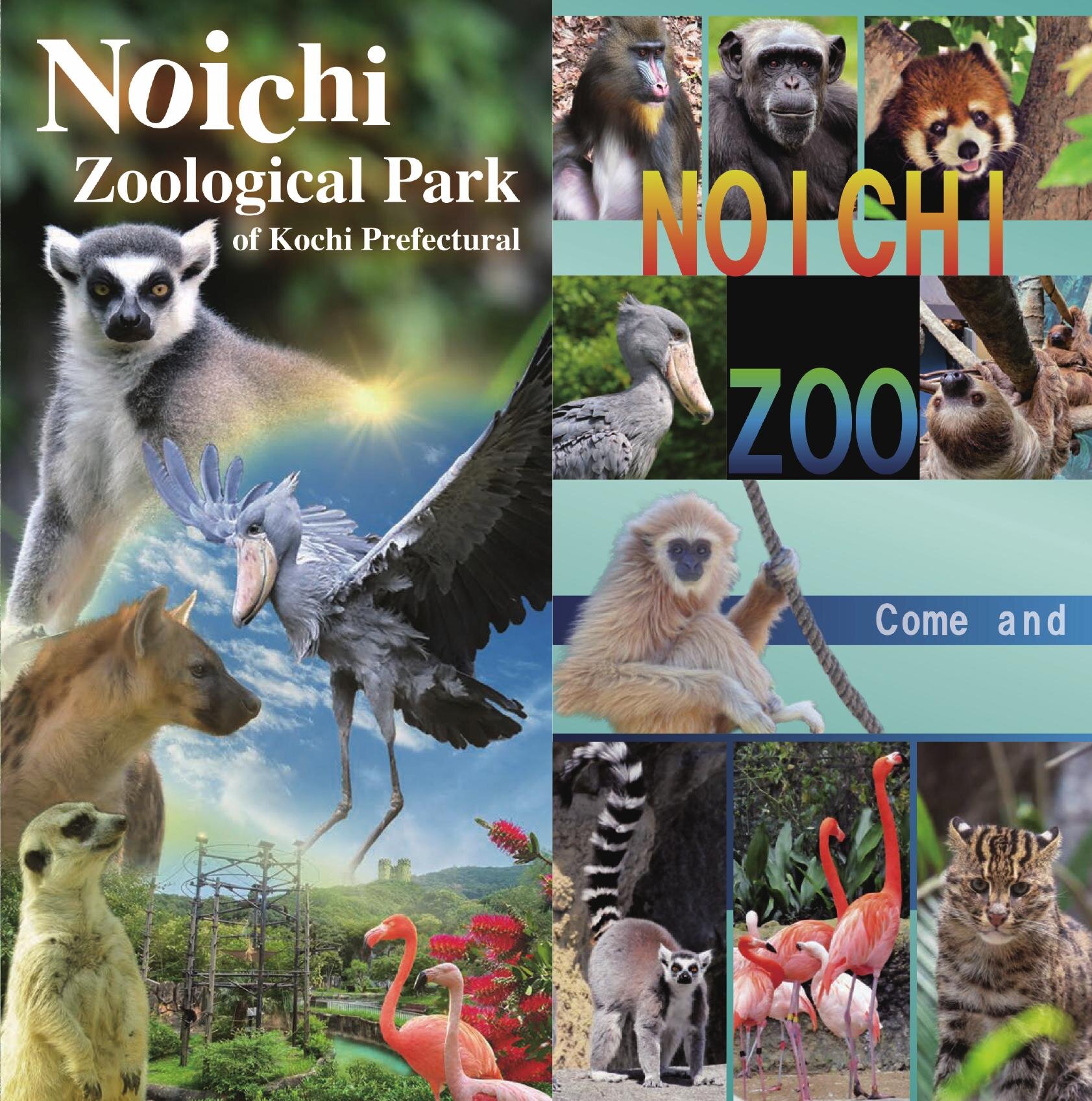 Noichi Zoological Park of Kochi Pref.